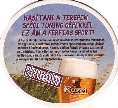 kozel05b.jpg