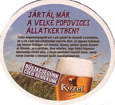 kozel06b.jpg