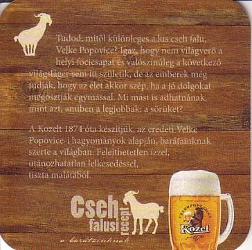 kozel07b.jpg